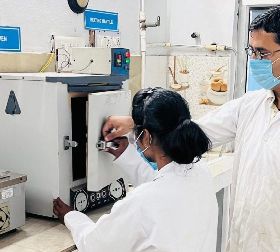 88e0f8ec-d718-4dbc-9c91-8825d5ecc9c3